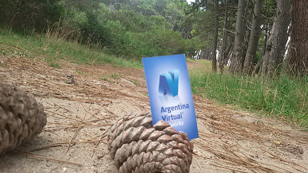 Argentina Virtual en el bosque energético